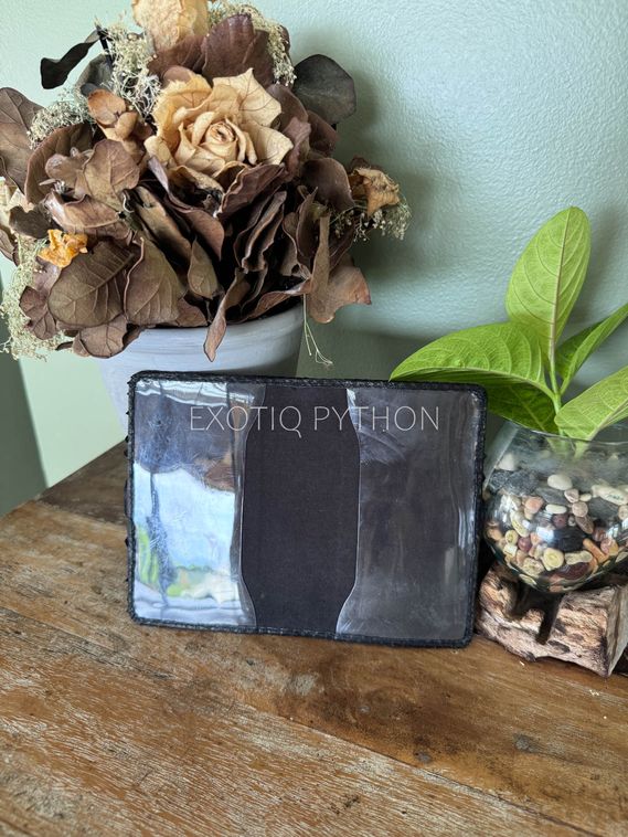 Обложка на паспорт из кожи Драгон питона AC-142