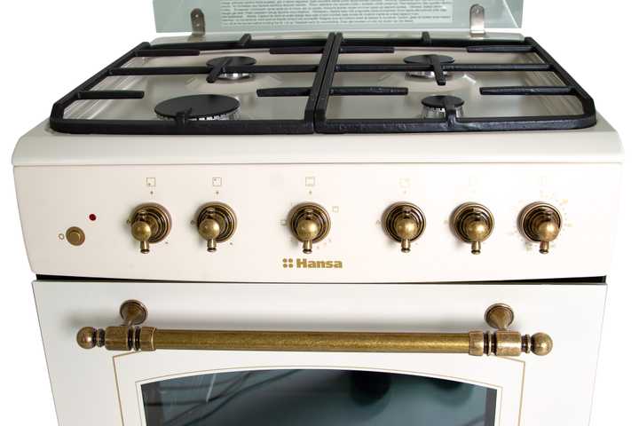 Газовая плита Hansa FCGY62109