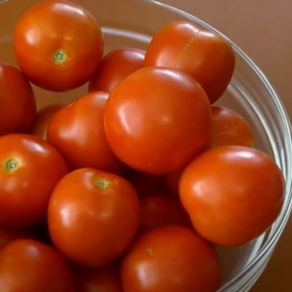 Ричи F1 томат красный (Bejo) семена