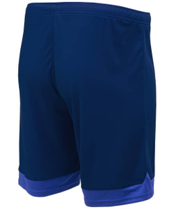 Шорты игровые DIVISION PerFormDRY Union Shorts, темно-синий/синий/белый