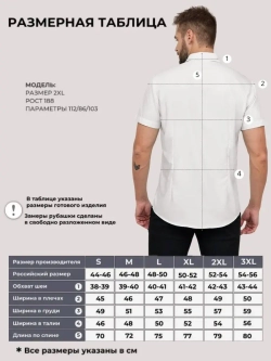 Рубашка приталенная с коротким рукавом