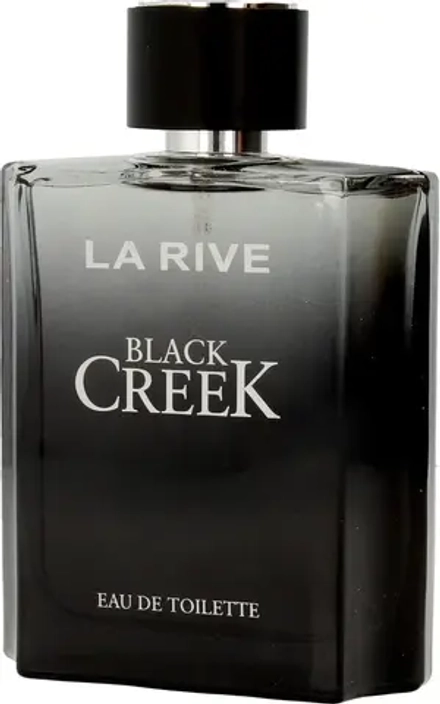 Мужская парфюмерия LA RIVE La Rive Black Creek EDT 100 мл