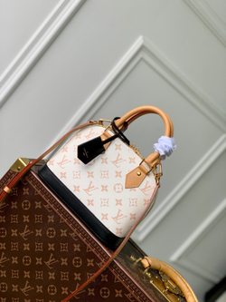 Louis Vuitton Alma BB