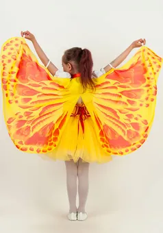 карнавальный костюм детский муха - цокотуха в интернет-магазине natali-fashion.ru