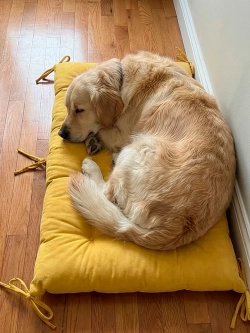 Подушка на скамью, подоконник, обувницу 100х45 см