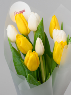 Тюльпаны микс