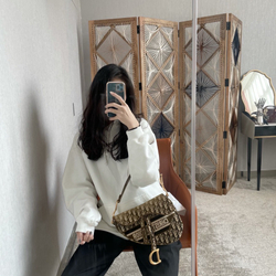 Christian Dior Saddle Bag 25 cm