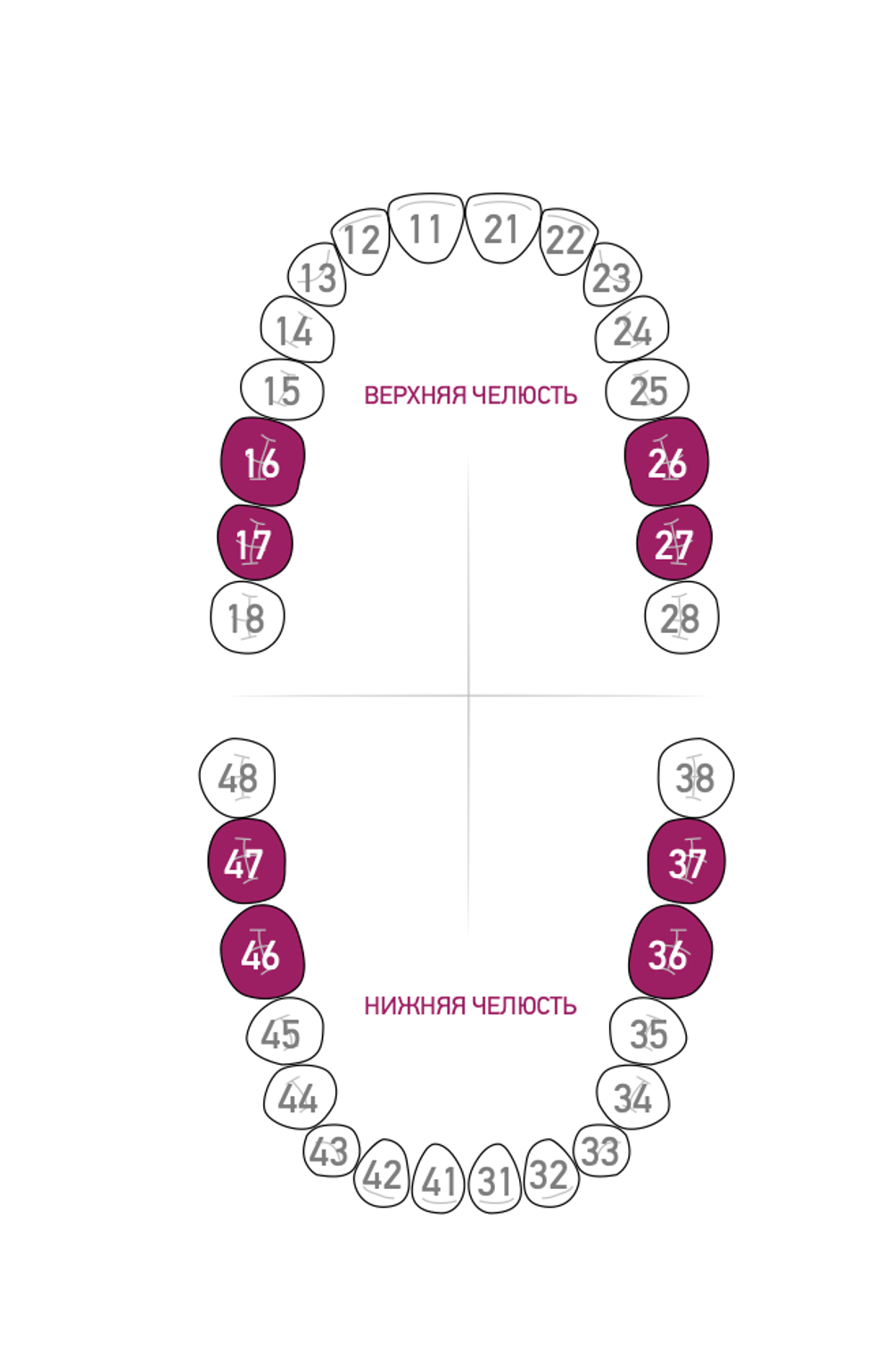 Область применения клампа для коффердама/раббердама №201 для моляров KSK (Dentech, Япония). Kofferdam.pro