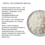 Свеча / Lime basil mandarin / соевый воск / 55 часов горения, 250 мл