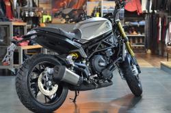 Benelli Leoncino 800