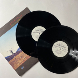Винтажная виниловая пластинка LP Pink Floyd Delicate Sound Of Thunder (СССР 1990) Апрелевский Завод