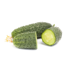 Кибрия F1 семена огурца партенокарпического (Rijk Zwaan / Райк Цваан)