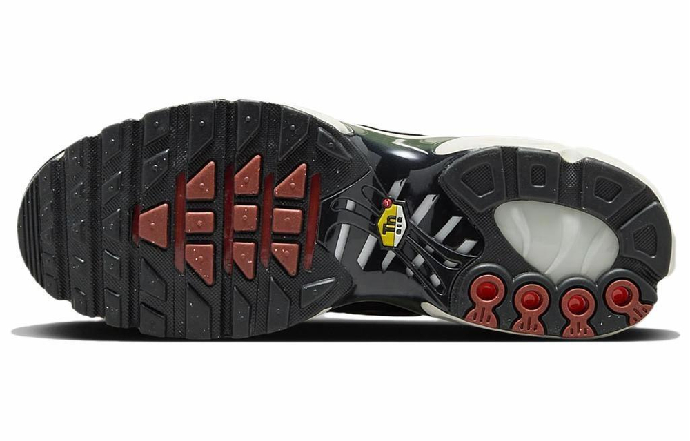 Кроссовки Nike Air Max Plus