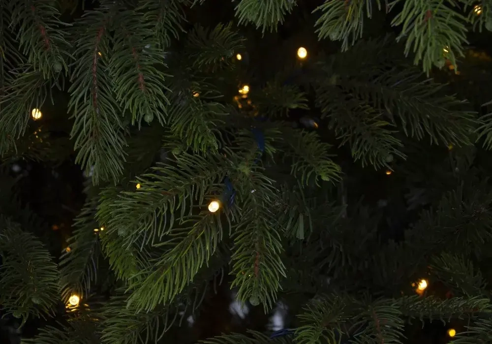 Ель Коттеджная 230 см., 800 LED лампы, литая хвоя+пвх, TreeDeLux (70052)