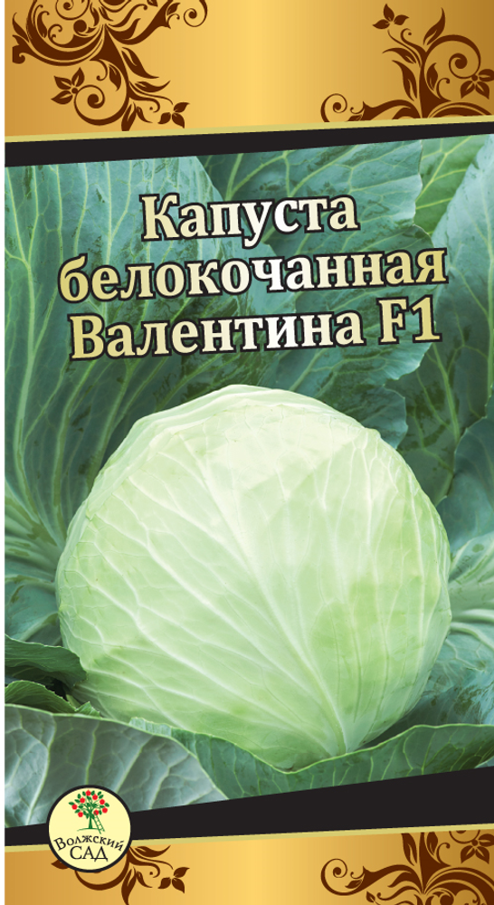 Капуста бк Валентина 0,1г Ц Волжский Сад