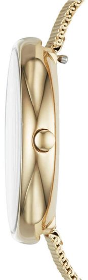 Женские часы Skagen SKW2625