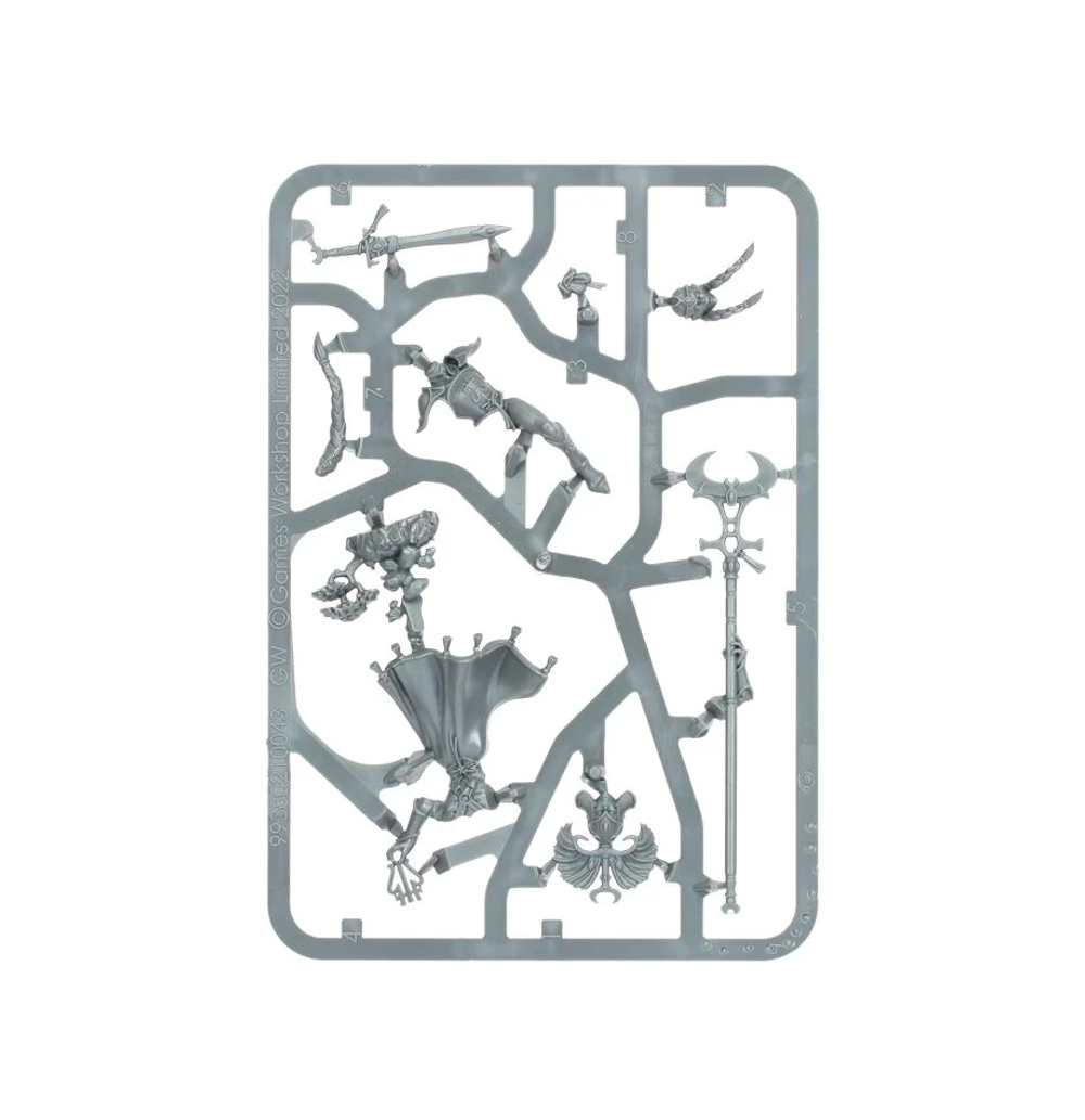 Lumineth Realm-lords: Scinari Enlightener