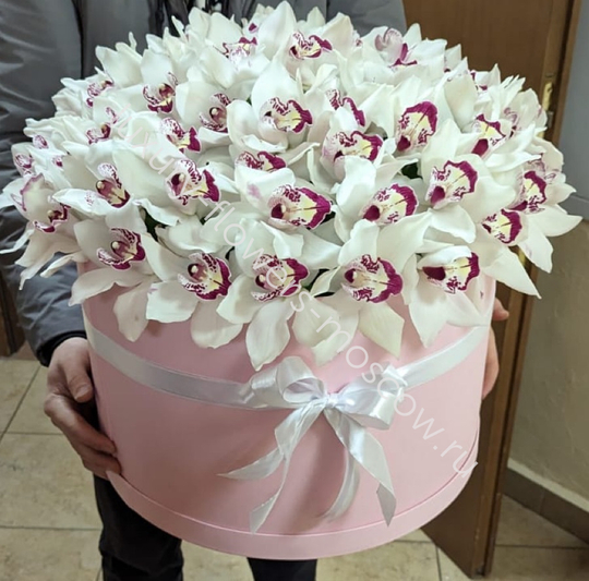 Коробка орхидей размер L