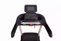 Беговая дорожка Watson Dynamics Pro 200 TFT