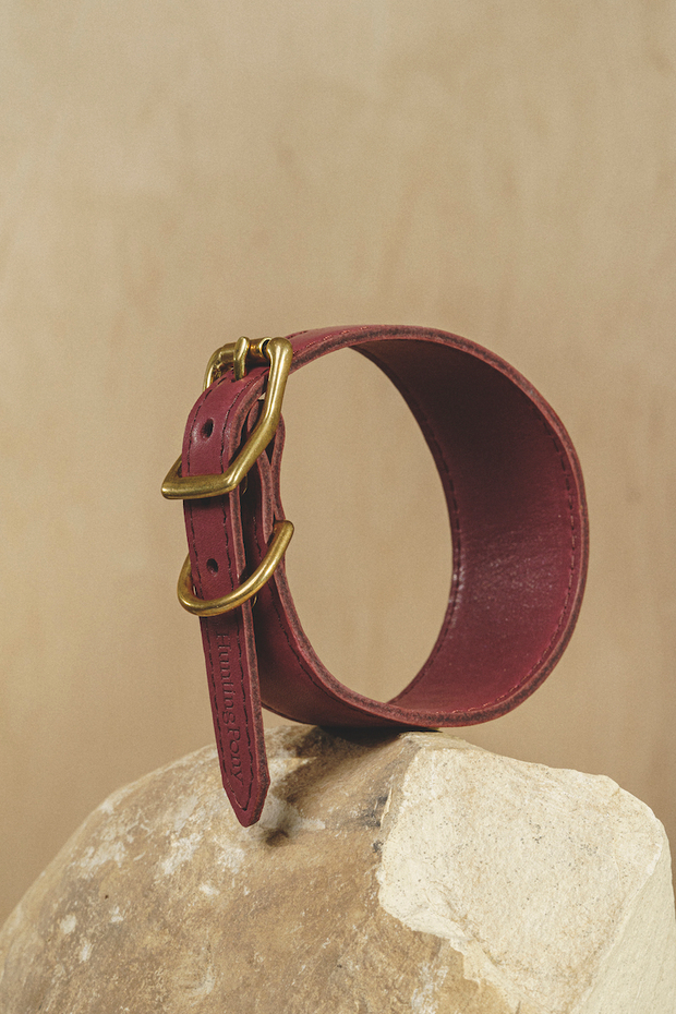 Ошейник "Пони-Селедка" Винный