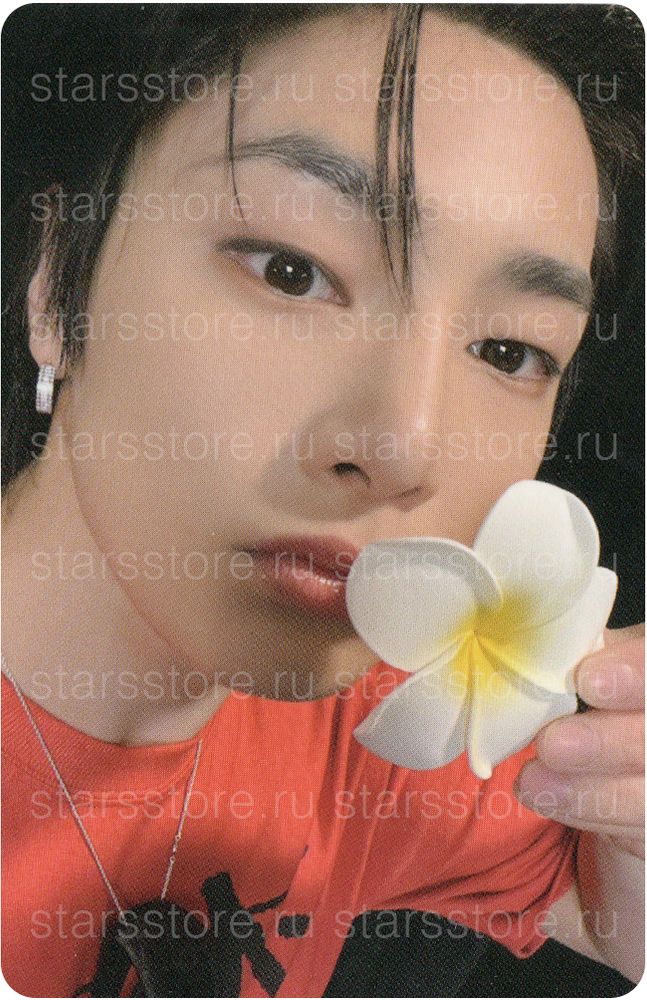 Фотокарта I.N STRAY KIDS - KARMA (EVERLINE)