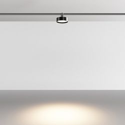 Светильник на штанге Maytoni Zon TR204-1-12W3K-B