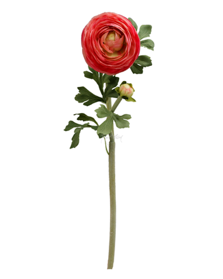 Ранункулюс Клуни крупный - Розовый