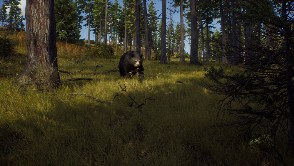 Way of the Hunter (для ПК, цифровой код доступа)
