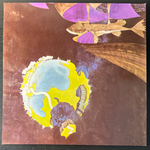 Yes ‎– Fragile (Германия)