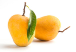 Манго Alphonso