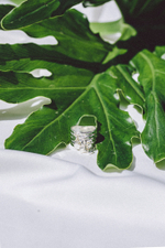 Кольцо «Карусель»