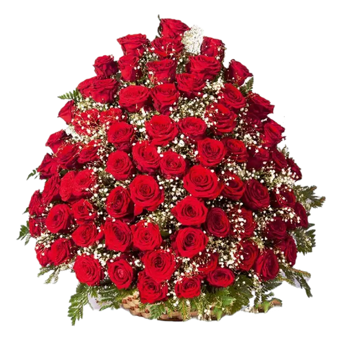 Траурная корзина «100 красных роз сорта Фридом, папоротник, гипсофилы»