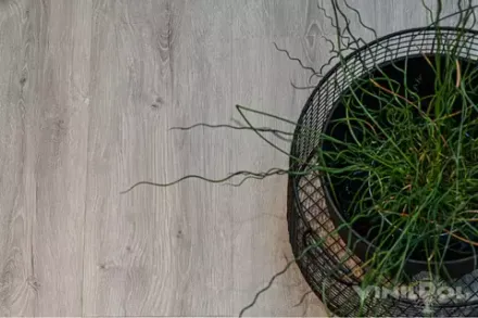 VinilPol SPC Дуб Неаполь, 2,503 м²