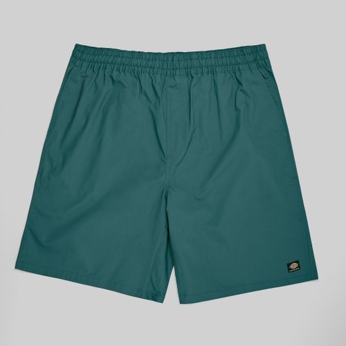 Шорты мужские Dickies Skateboarding 9