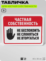 Табличка для частной территории "Частная собственность", на дом, для участка, организаций, предупреждающая, 40х30 см, Silver Plane x Айдентика Технолоджи