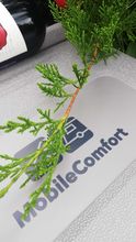 Компрессорный автохолодильник Mobile Comfort MC-45 (12/24/220V)