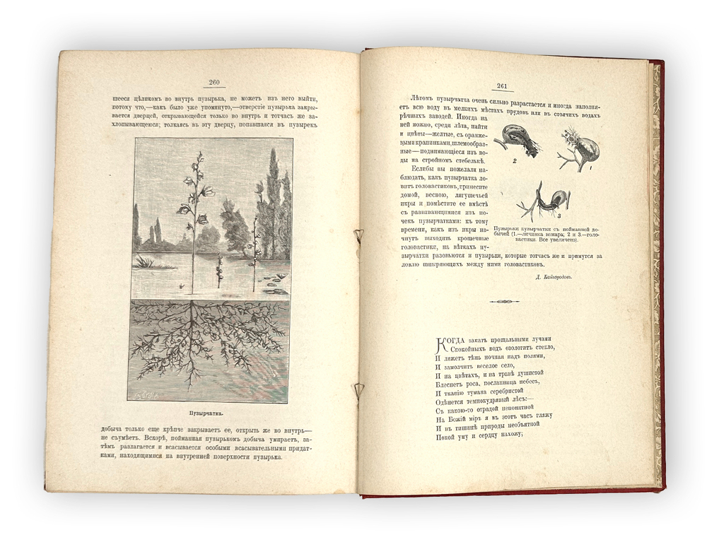 Кайгородов Д. Из родной природы. Хрестоматия для школы и семьи. СПб, А. С. Суворин, 1903 г.