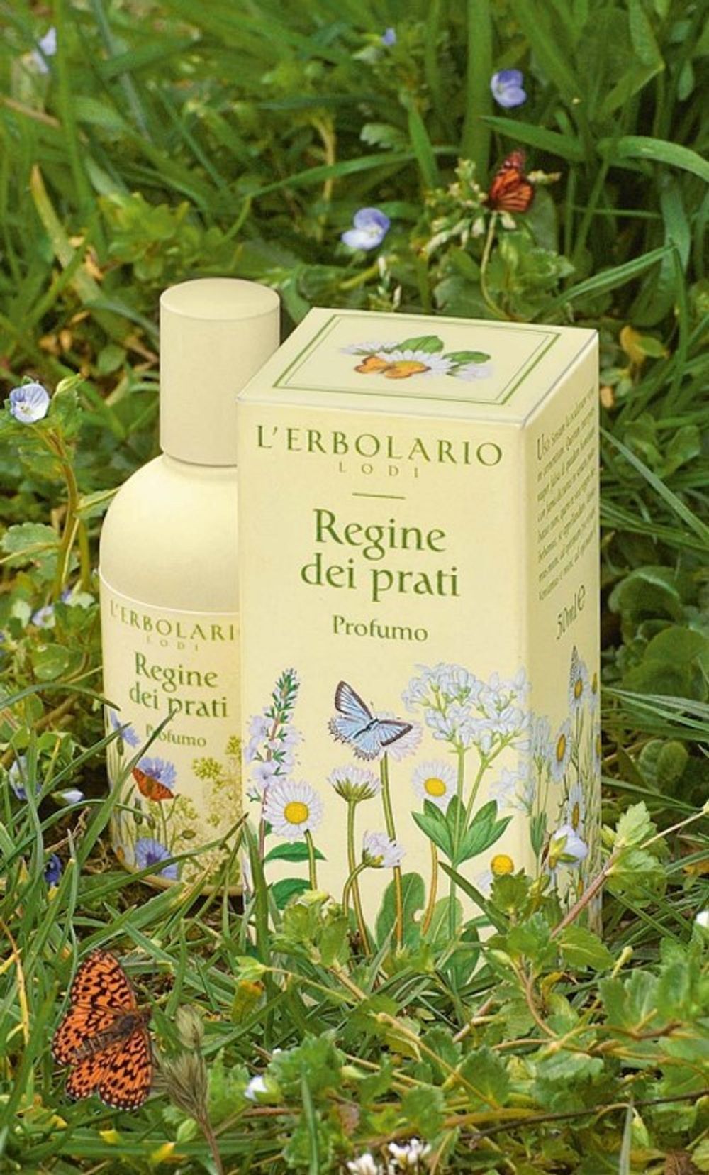 L'Erbolario Regine dei Prati