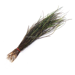 Бородки пера павлина Peacock Herls Natural (2 гр.)