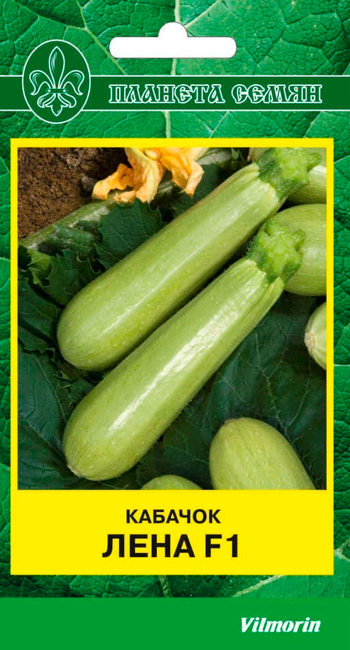 Кабачок Лена F1
