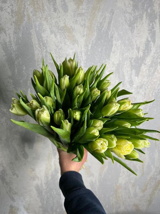 Букет 35 Тюльпанов (Б-170)