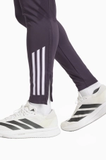 Штаны adidas Manchester United 25/26 Competition Training - фиолетовый