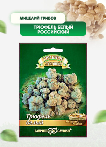 Грибы Трюфель белый Российский на зерновом субстракте 15мл Ц Гавриш