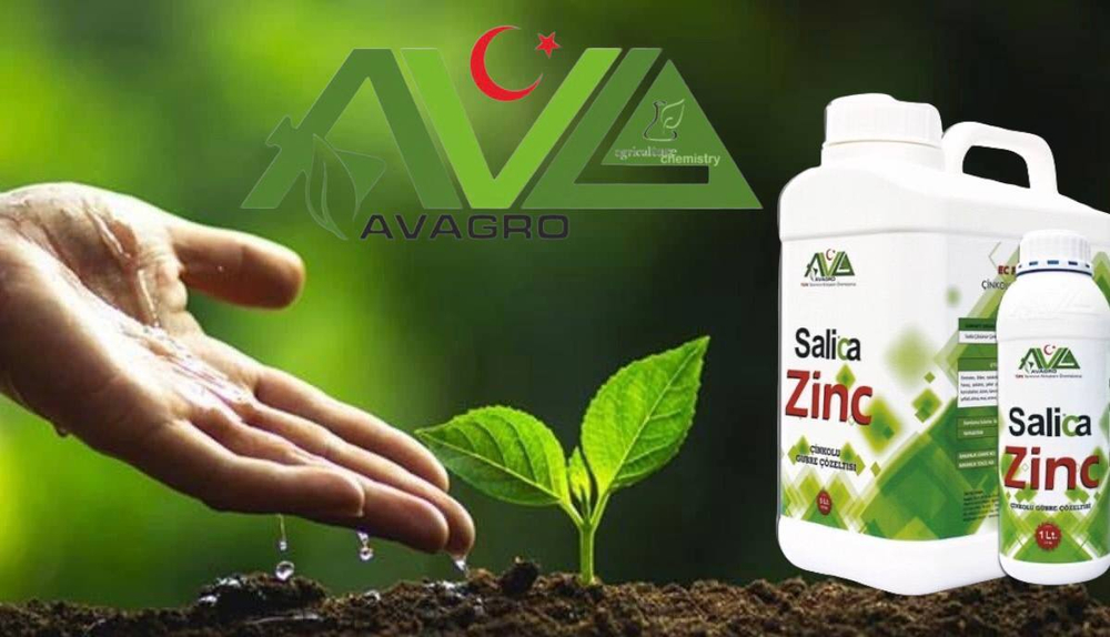 Salica Zinc