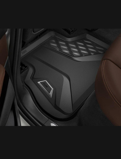 Коврики BMW X6 G06 (4 шт)