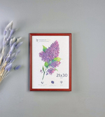 Фоторамка 21х30 см коричневая, без фактуры, арт. 2130.127262