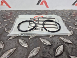 О-кольцо 095-1700