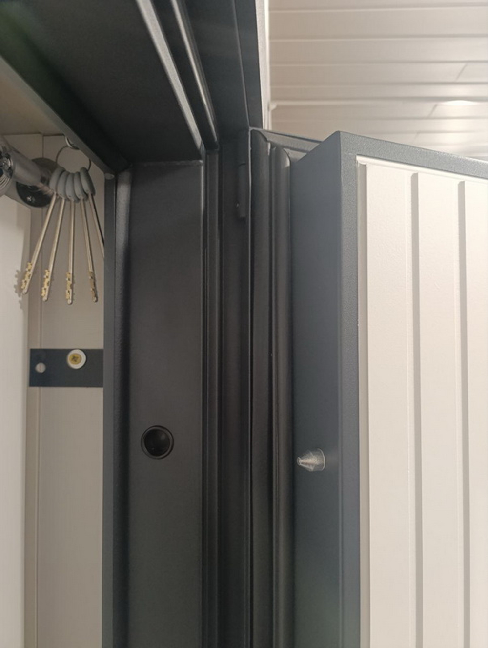 Стальная дверь "Спектра". Заказная модель.