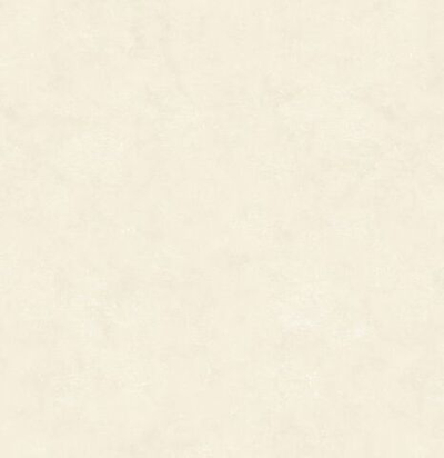 Обои с эффектом штукатурки PRO203