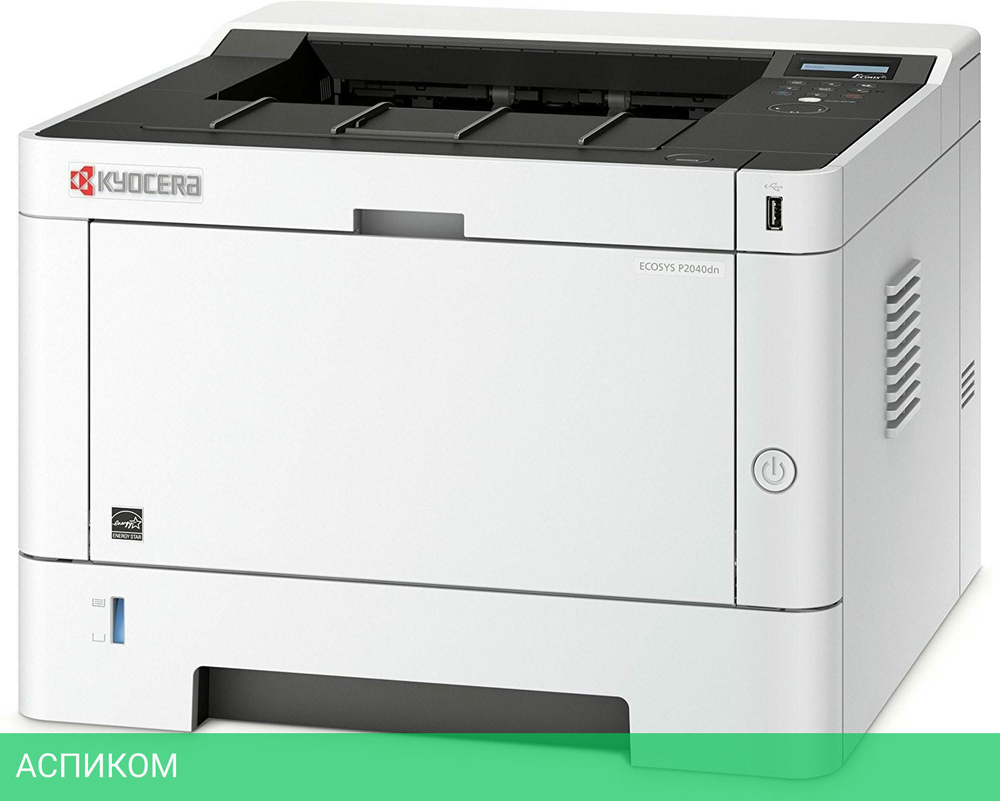 Принтер Kyocera Ecosys P2040DN (1102RX3NL0)